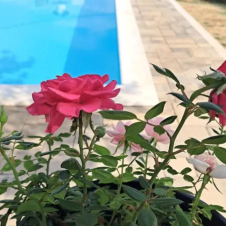 Villa Maslina Stolac