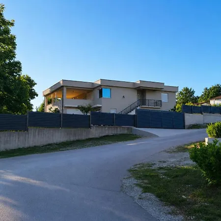 Maslina * Stolac